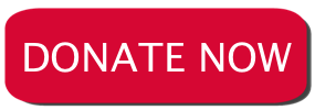 Donate Now